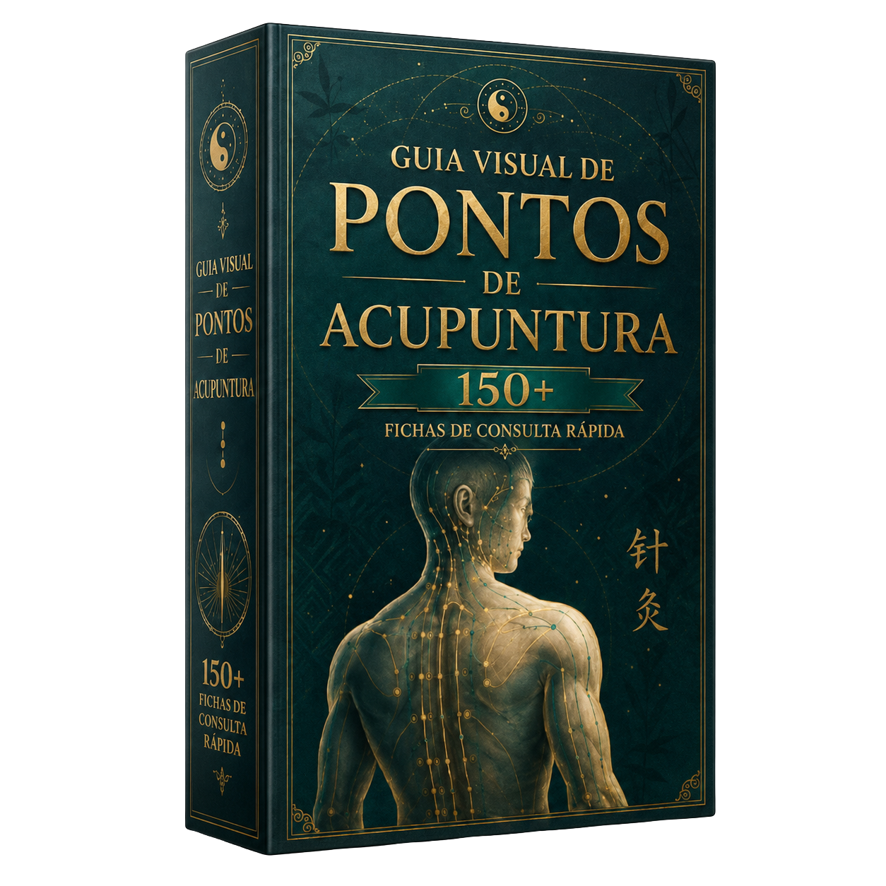 Plan básico de la Guía Visual de Puntos de Acupuntura