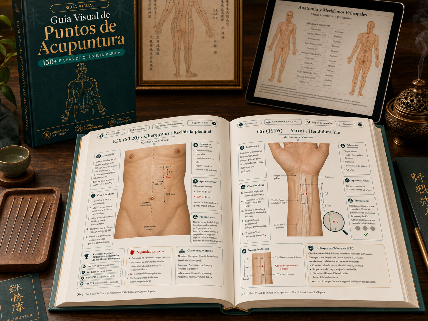 Guía visual de acupuntura abierta con ejemplos clínicos